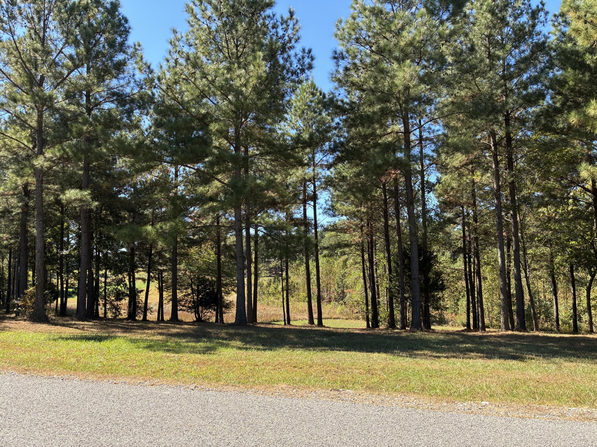 241 Pappy Road Jasper TN 37347