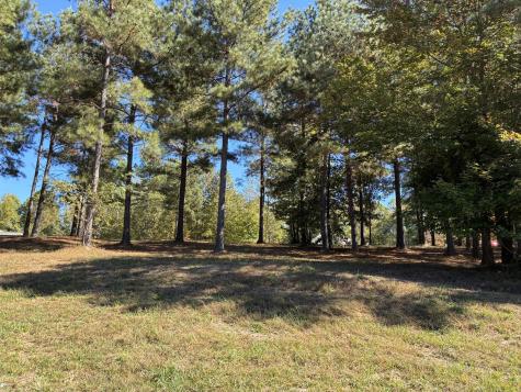 241 Pappy Road Jasper TN 37347