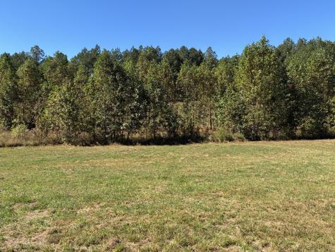 241 Pappy Road Jasper TN 37347