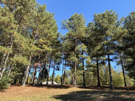 241 Pappy Road Jasper TN 37347