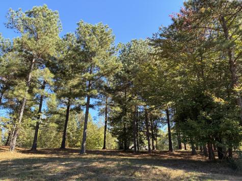 241 Pappy Road Jasper TN 37347