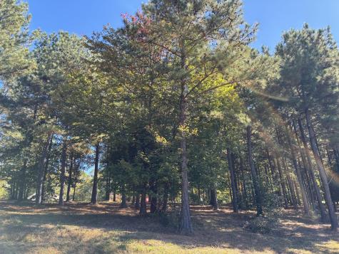 241 Pappy Road Jasper TN 37347