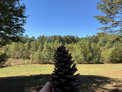 241 Pappy Road Jasper TN 37347