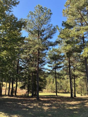 241 Pappy Road Jasper TN 37347