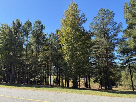 241 Pappy Road Jasper TN 37347