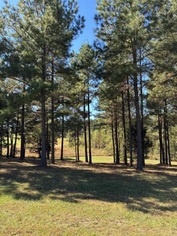 241 Pappy Road Jasper TN 37347