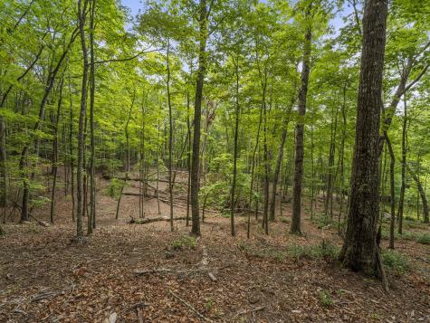 0 Eagle Rock Road Monteagle TN 37356