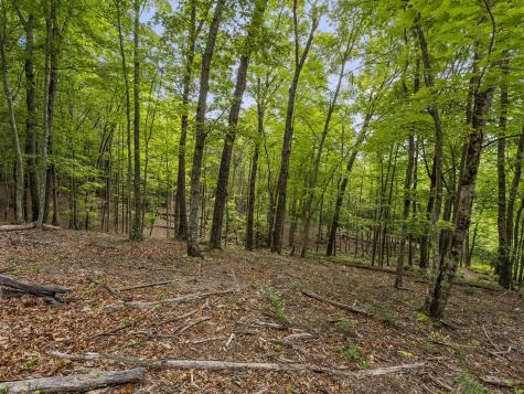 0 Eagle Rock Road Monteagle TN 37356