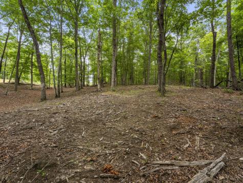 0 Eagle Rock Road Monteagle TN 37356