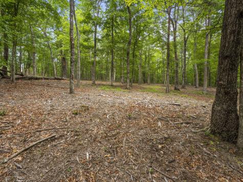 0 Eagle Rock Road Monteagle TN 37356