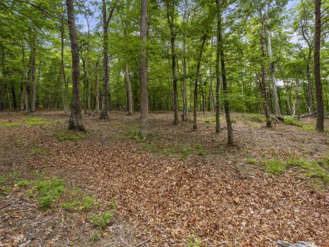 0 Eagle Rock Road Monteagle TN 37356