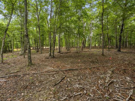 0 Eagle Rock Road Monteagle TN 37356