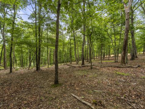 0 Eagle Rock Road Monteagle TN 37356