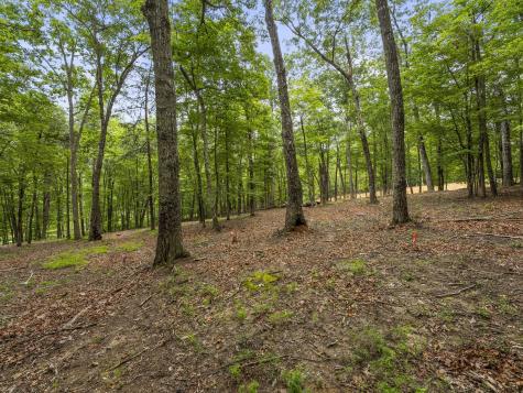 0 Eagle Rock Road Monteagle TN 37356