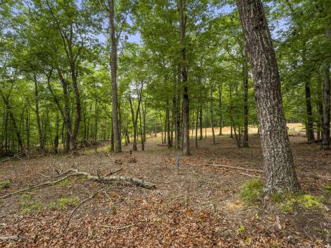 0 Eagle Rock Road Monteagle TN 37356