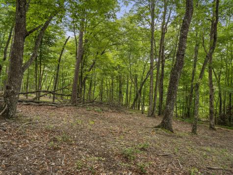 0 Eagle Rock Road Monteagle TN 37356