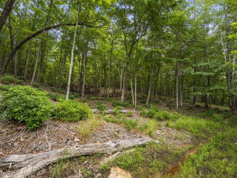 0 Eagle Rock Road Monteagle TN 37356