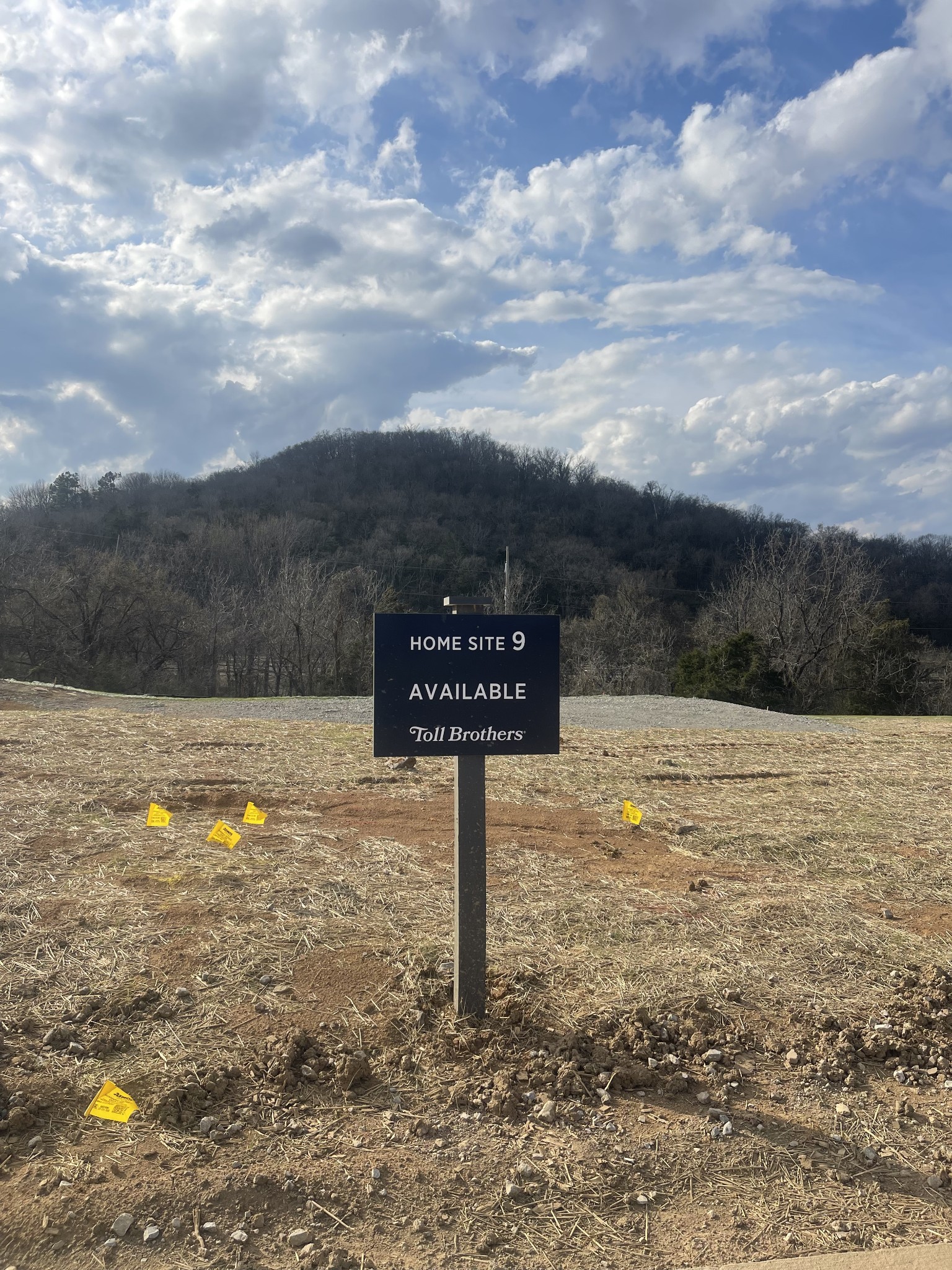 201 Berry Hunter Lane Franklin TN 37067