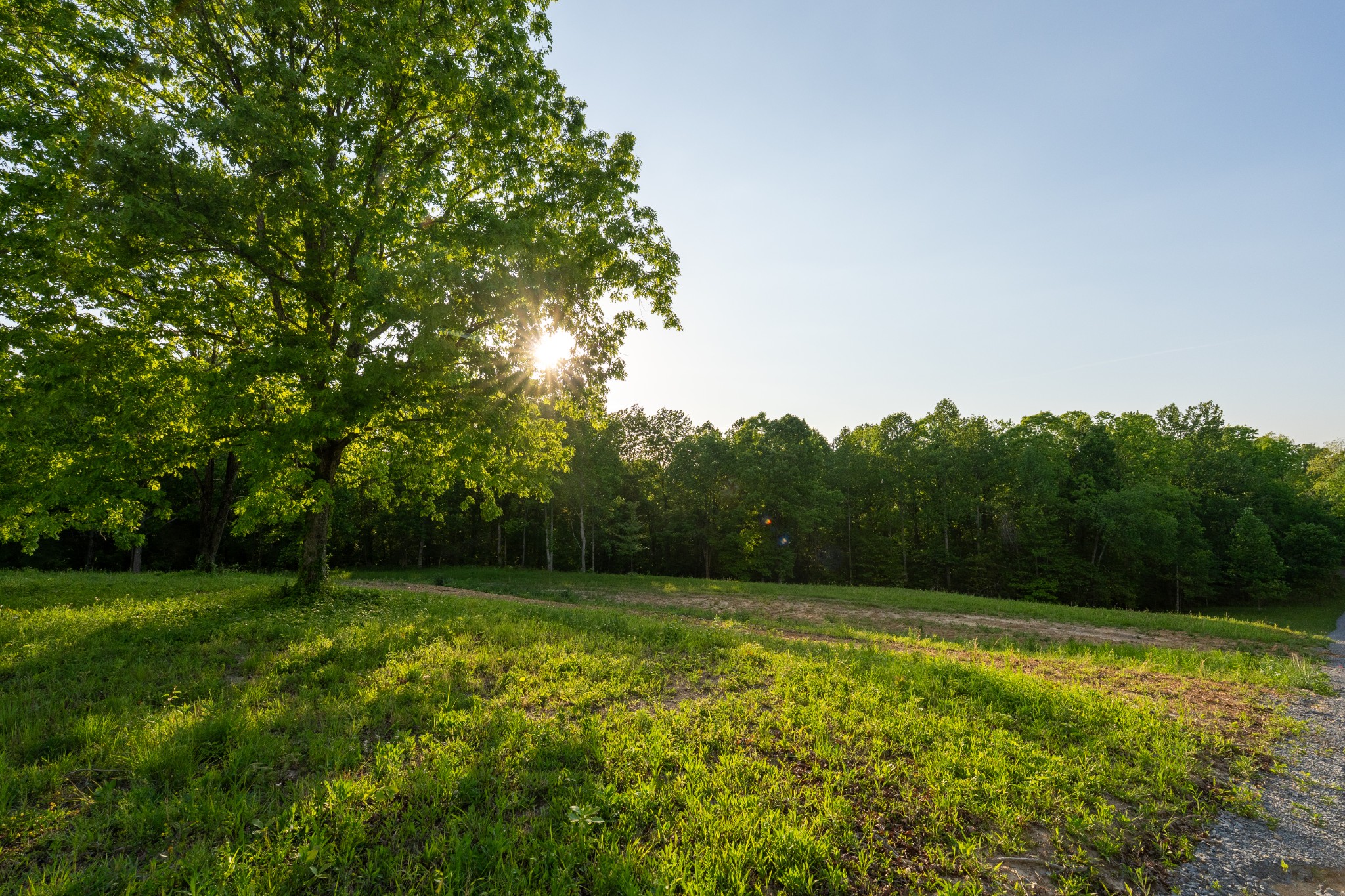 5 Pinewood Road Nunnelly TN 37137