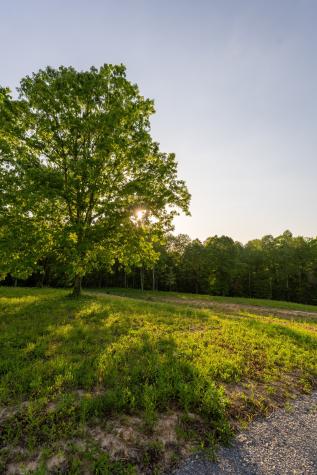 5 Pinewood Road Nunnelly TN 37137