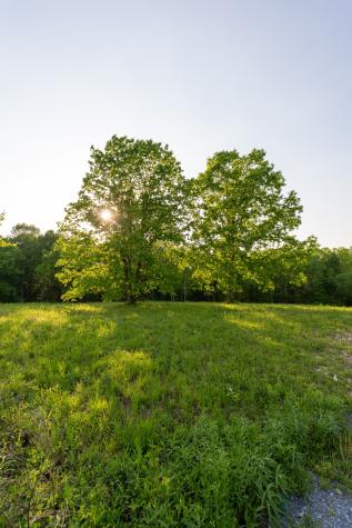 5 Pinewood Road Nunnelly TN 37137