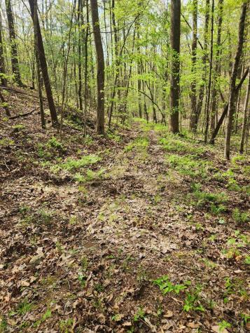 0 Chestnut Mountain Road Reliance TN 37369