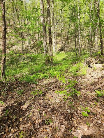 0 Chestnut Mountain Road Reliance TN 37369
