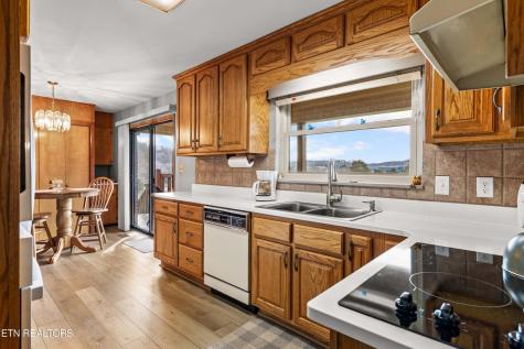 1423 Emily Drive Sevierville TN 37876
