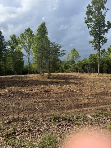 0 Ridgetop Road Hampshire TN 38461