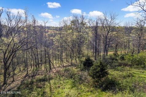 1624 Bartlett Hollow Road Petersburg TN 37144