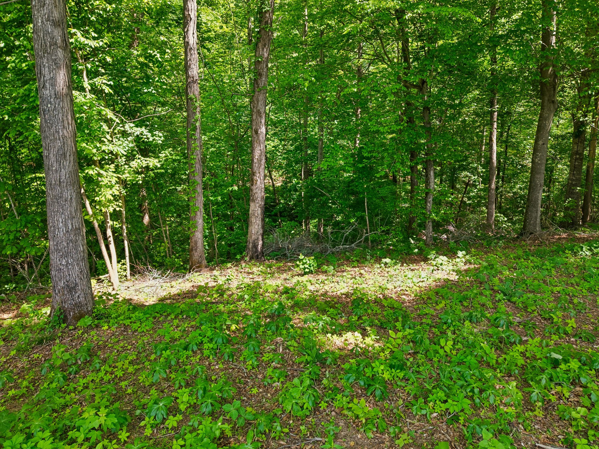 0 Casparis Road Franklin TN 37064
