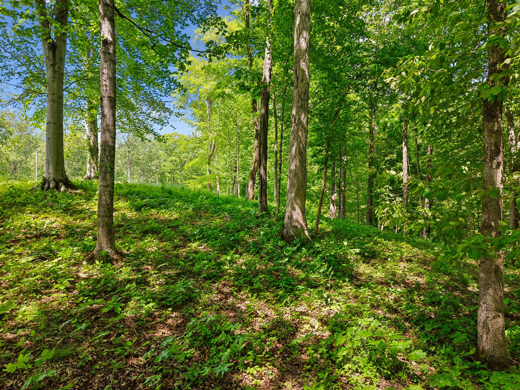 0 Casparis Road Franklin TN 37064