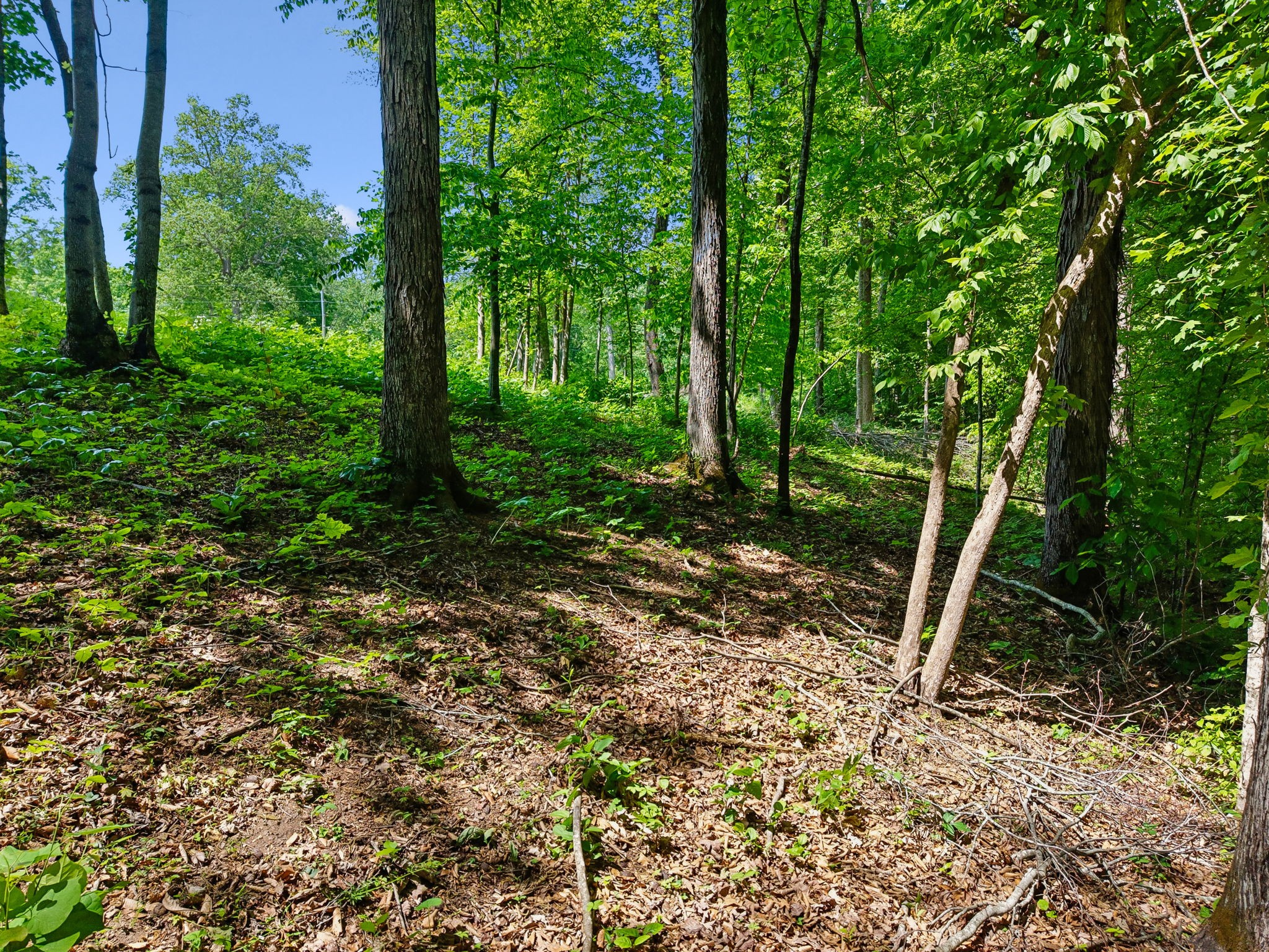 0 Casparis Road Franklin TN 37064