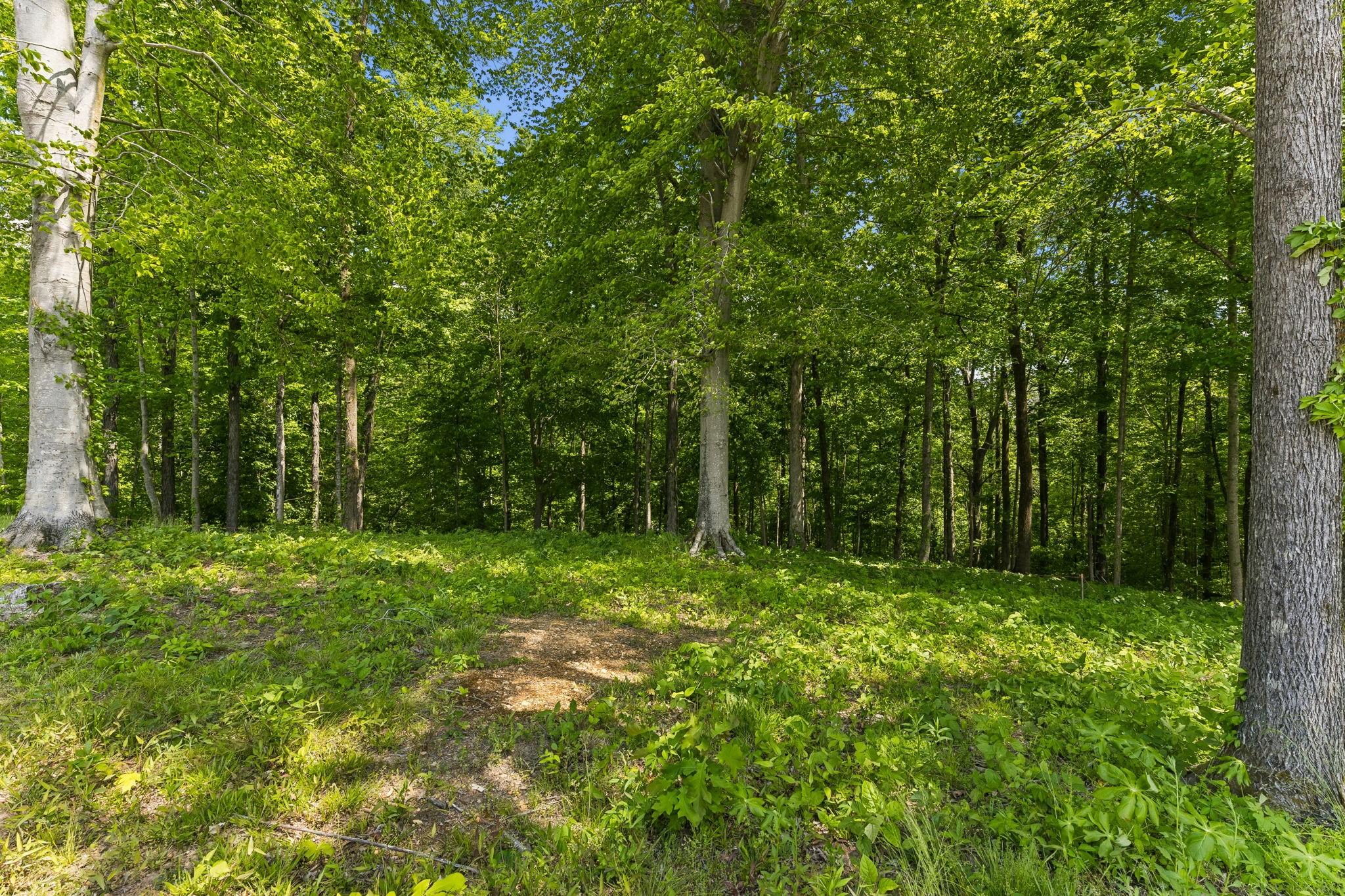 0 Casparis Road Franklin TN 37064