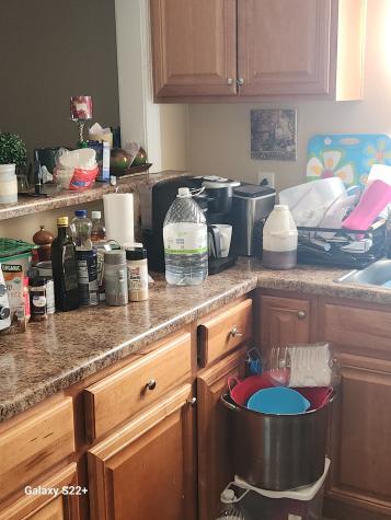 1212 Tulip Grove Road Hermitage TN 37076