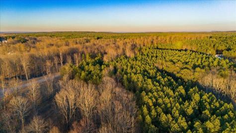 0 Volunteer Street Jasper TN 37347