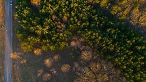 0 Volunteer Street Jasper TN 37347