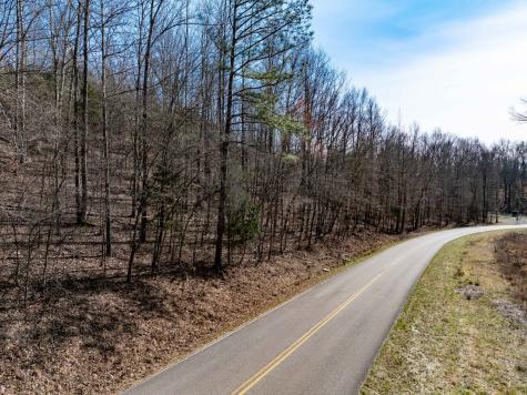 0 Deer Hollow Drive Parsons TN 38363