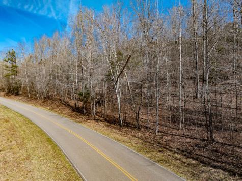 0 Deer Hollow Drive Parsons TN 38363