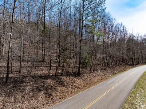0 Deer Hollow Drive Parsons TN 38363