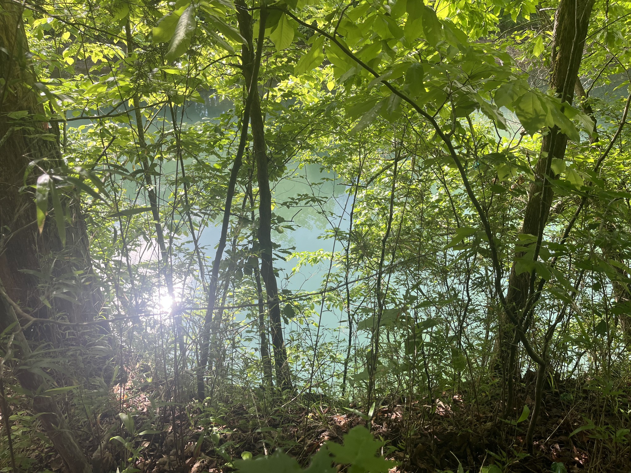 0 Hidden River Road Rock Island TN 38581