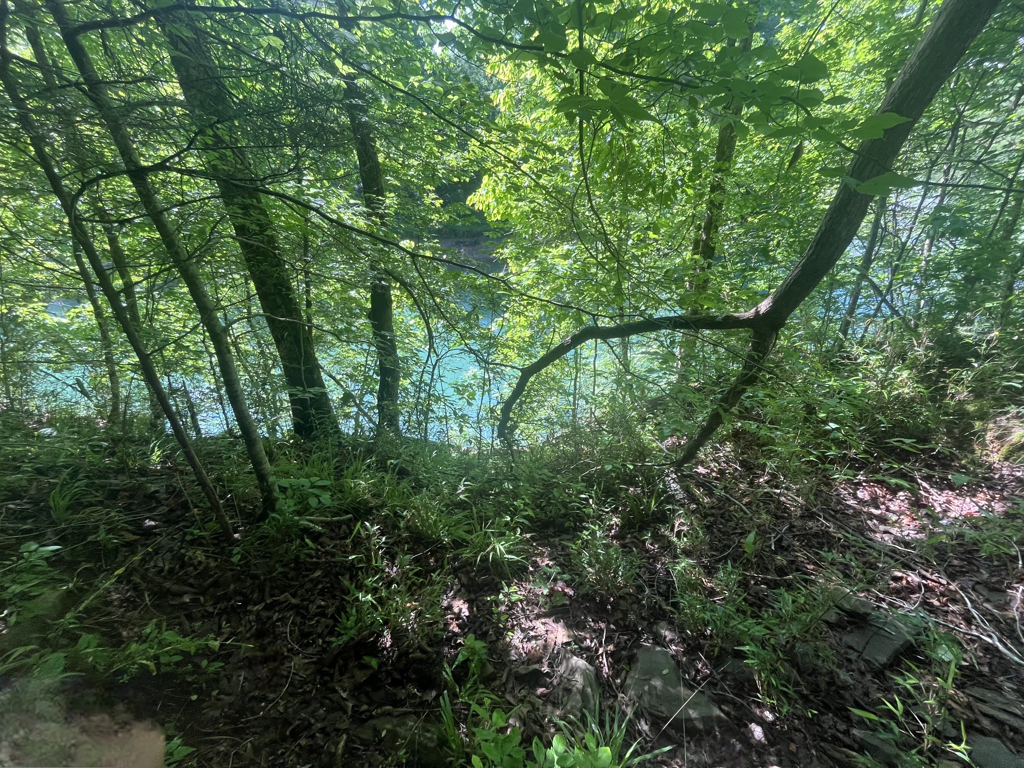 0 Hidden River Road Rock Island TN 38581