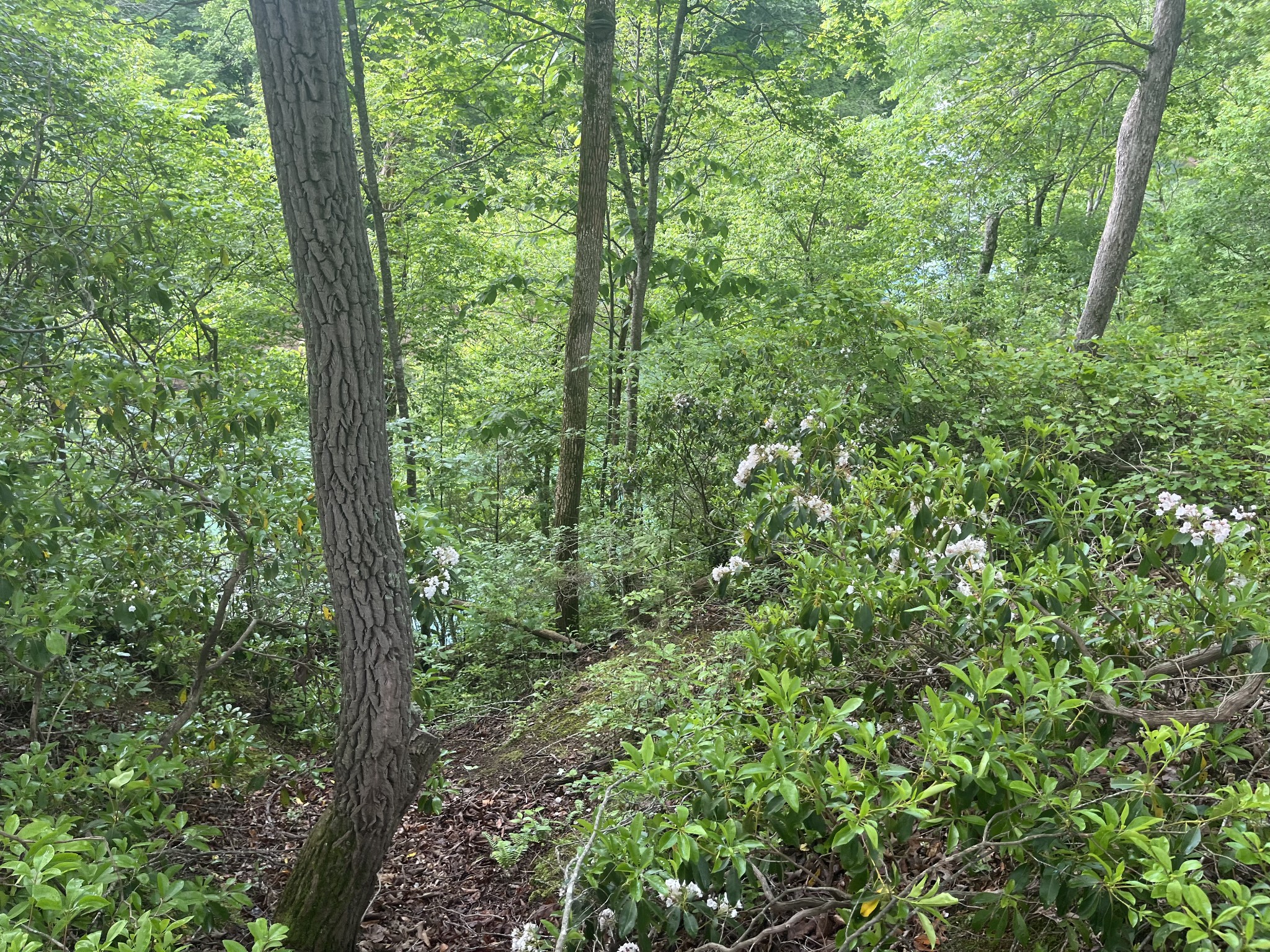 0 Hidden River Road Rock Island TN 38581