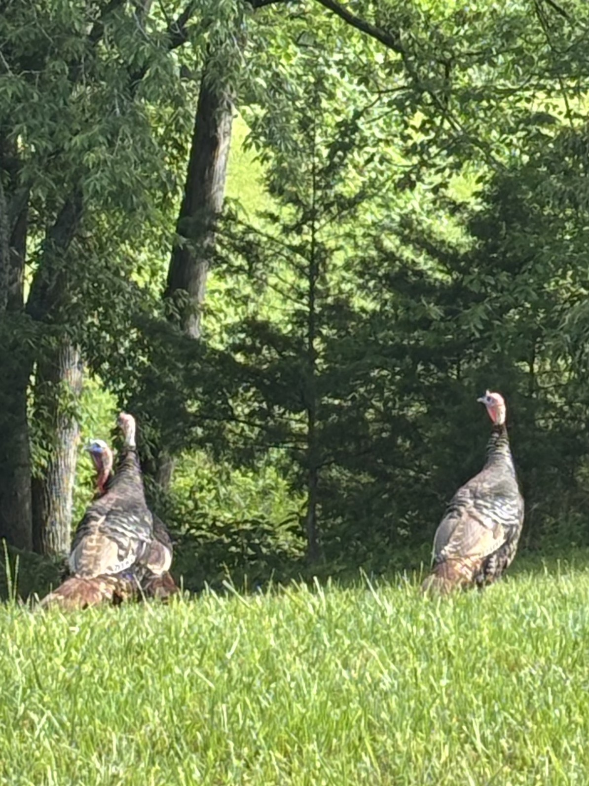 0 Hidden River Road Rock Island TN 38581