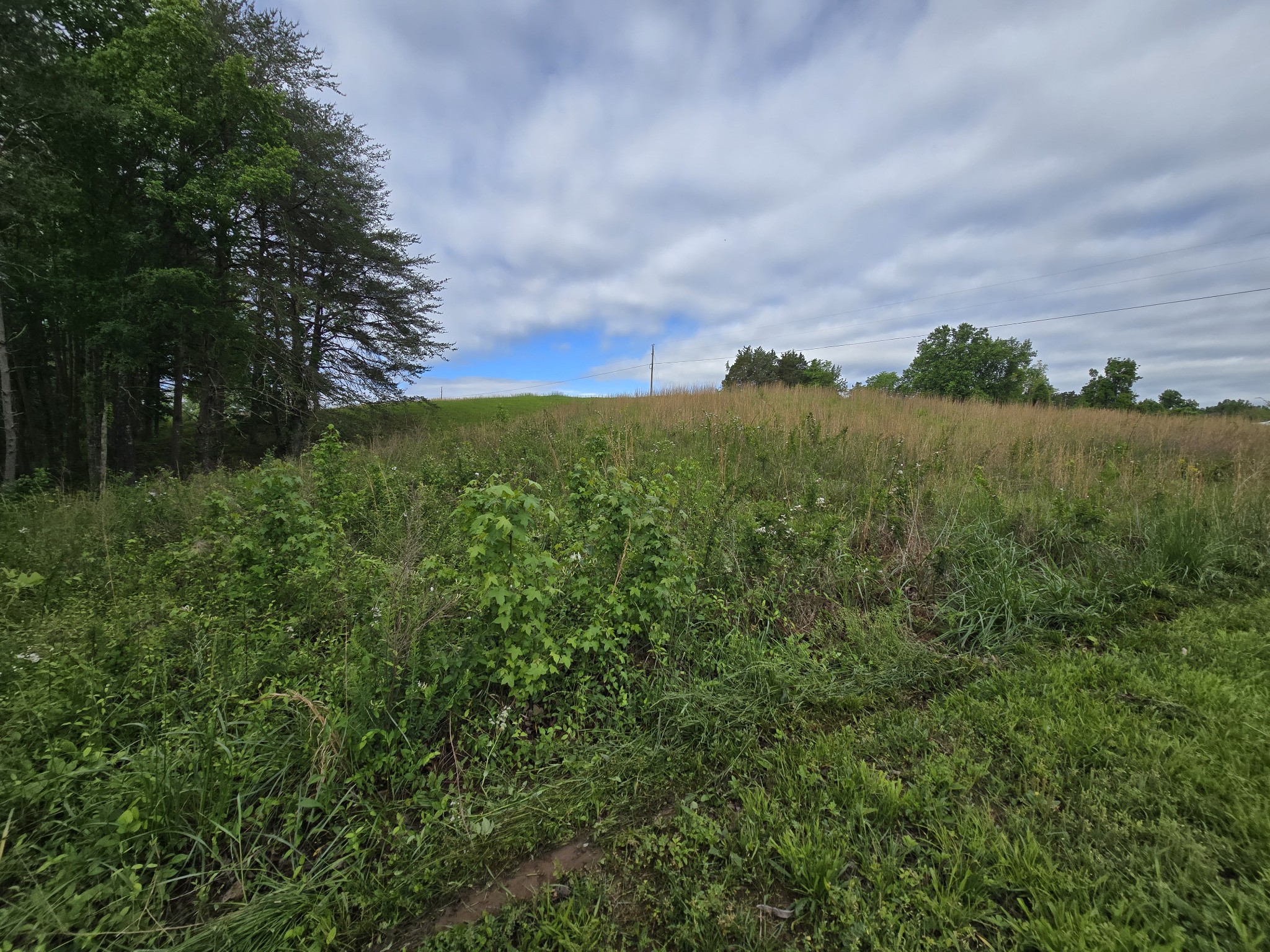 0 Hidden River Road Rock Island TN 38581