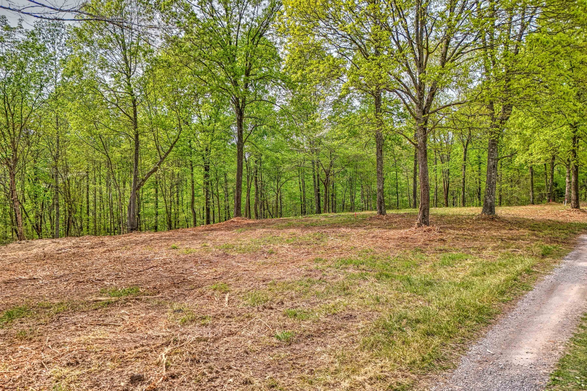 0 Rbk Lane Bethpage TN 37022