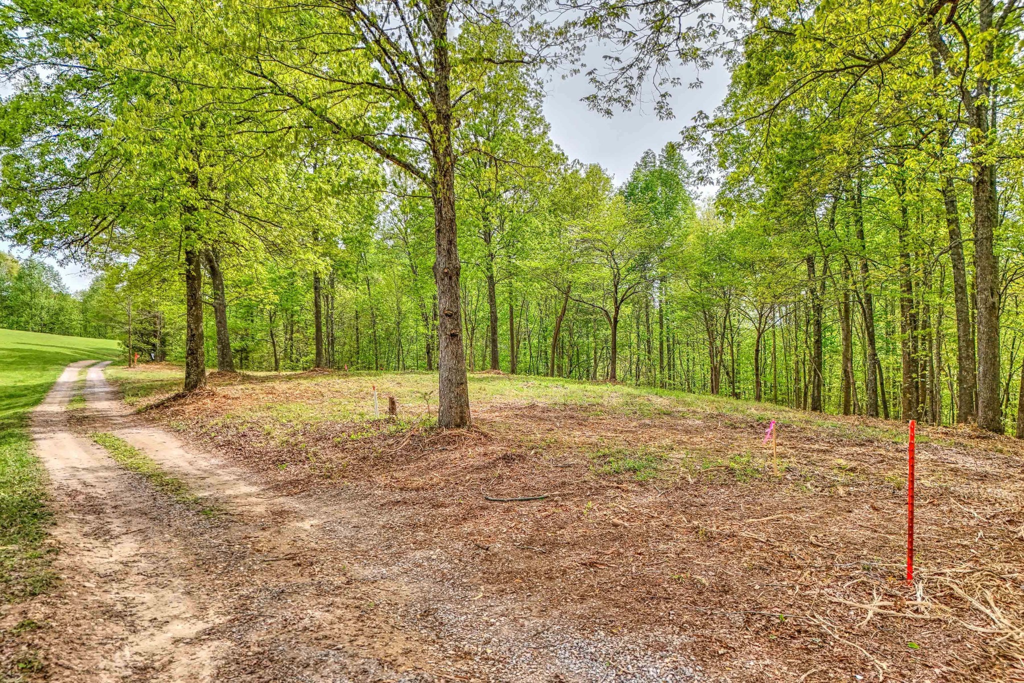 0 Rbk Lane Bethpage TN 37022