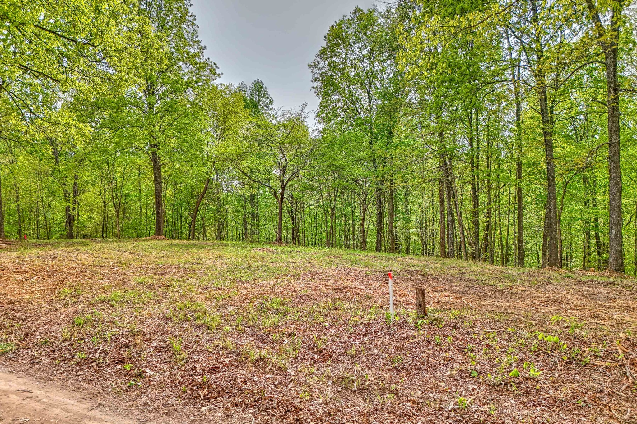 0 Rbk Lane Bethpage TN 37022