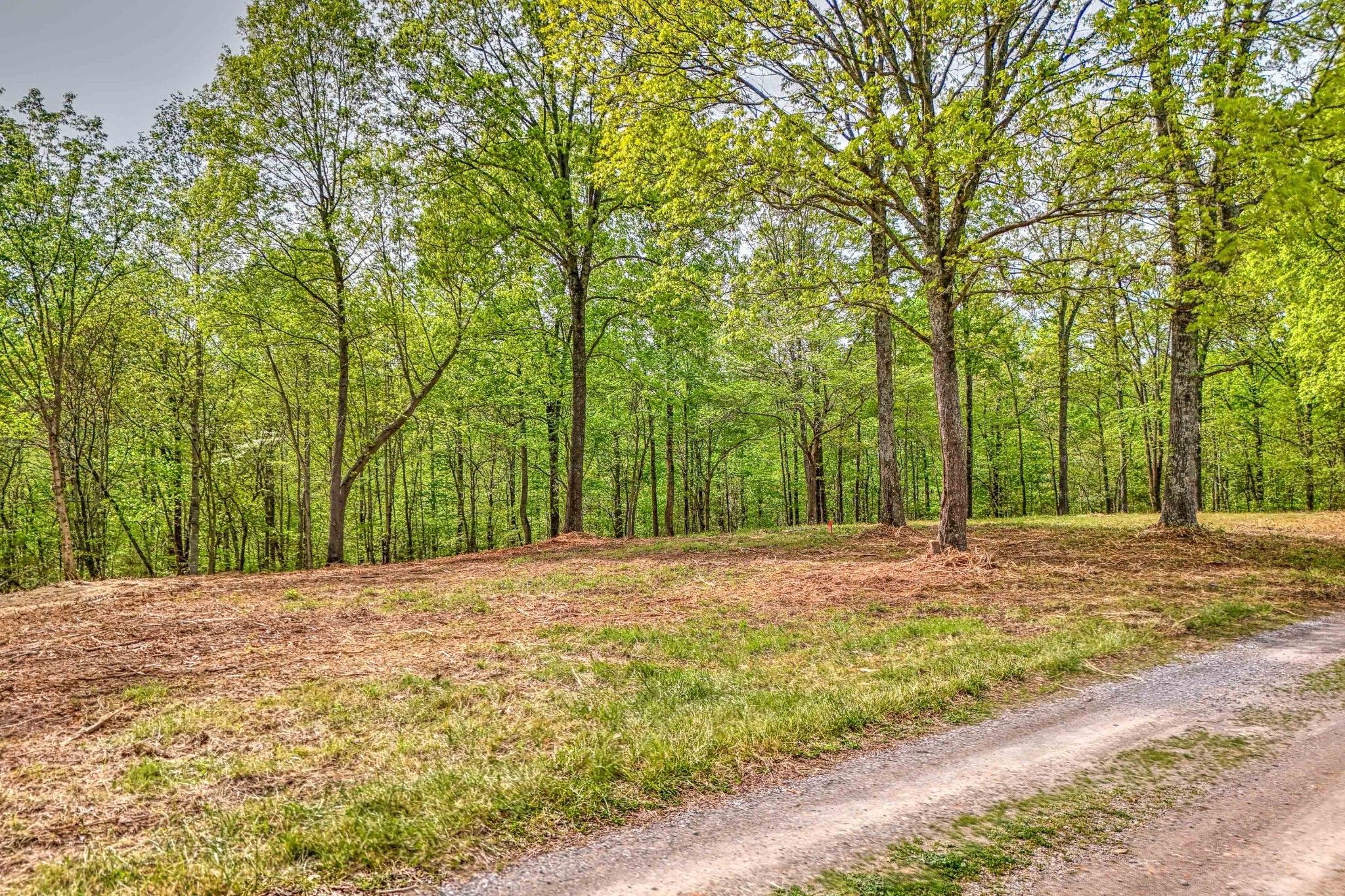 0 Rbk Lane Bethpage TN 37022