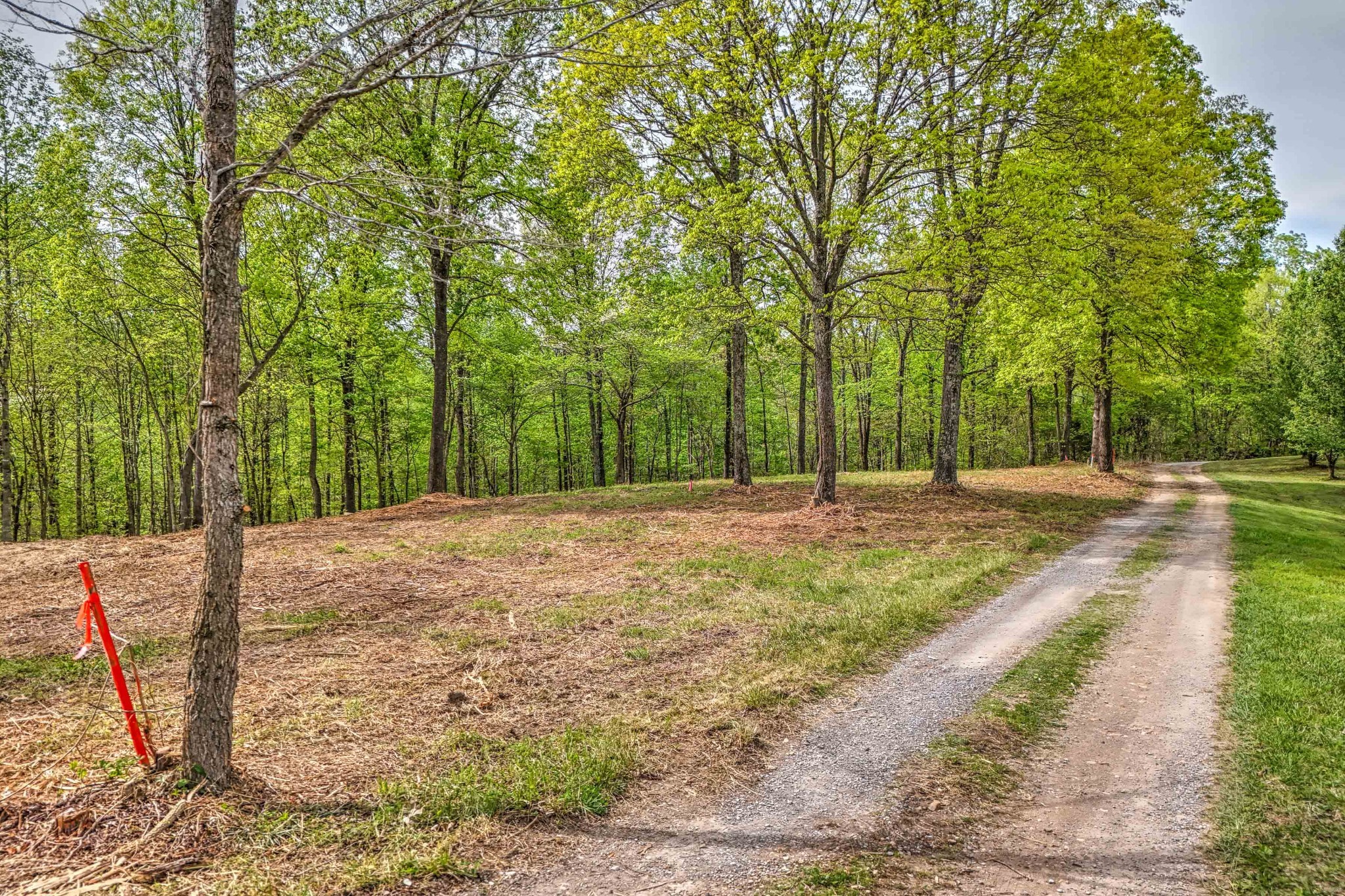 0 Rbk Lane Bethpage TN 37022